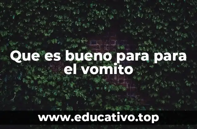 Que es bueno para para el vomito