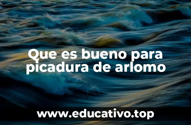 Que es bueno para picadura de arlomo