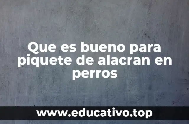 Que es bueno para piquete de alacran en perros