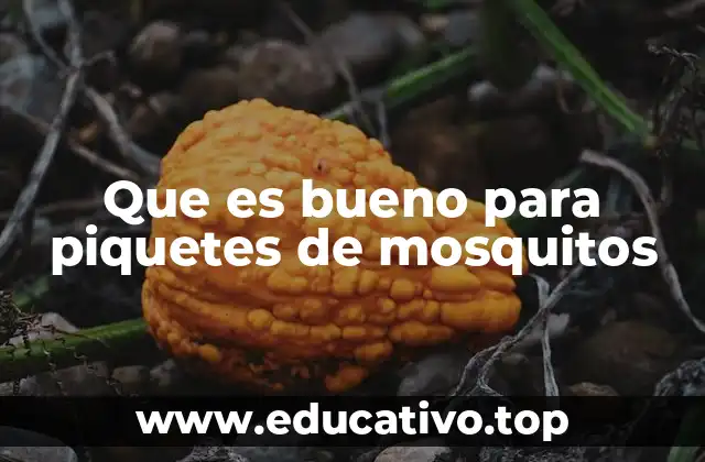 Que es bueno para piquetes de mosquitos