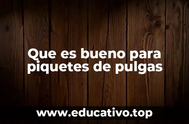 Que es bueno para piquetes de pulgas