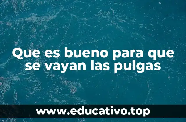 Que es bueno para que se vayan las pulgas