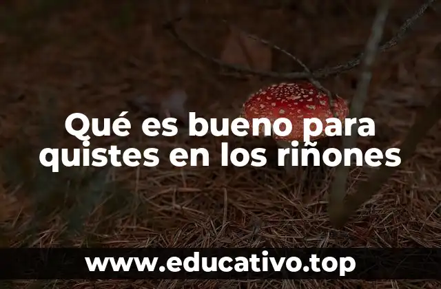 Cómo la medicina integrada apoya la salud renal