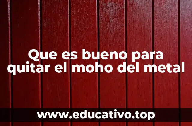 Que es bueno para quitar el moho del metal