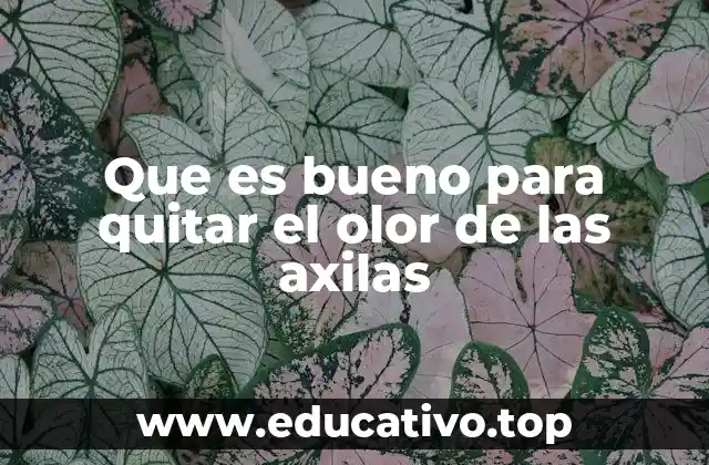 Que es bueno para quitar el olor de las axilas