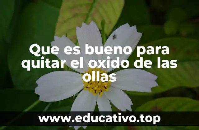 Que es bueno para quitar el oxido de las ollas