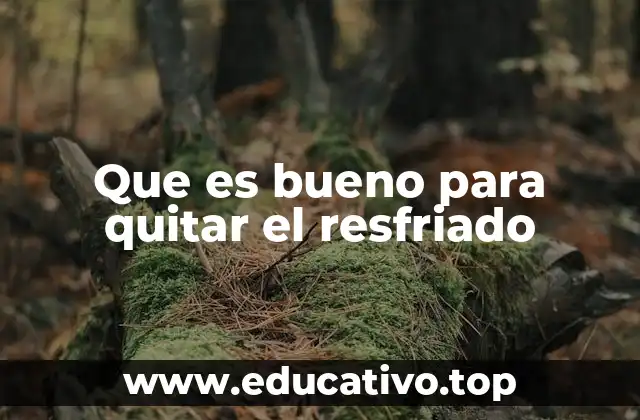 Que es bueno para quitar el resfriado