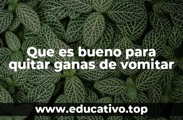 Que es bueno para quitar ganas de vomitar