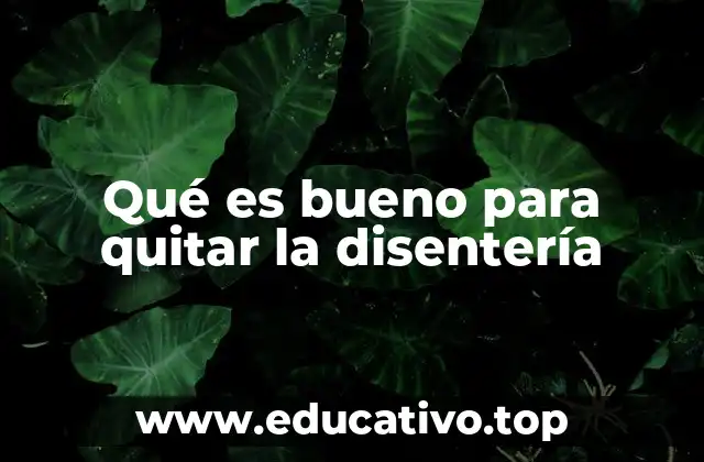 Qué es bueno para quitar la disentería