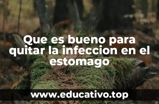Que es bueno para quitar la infeccion en el estomago