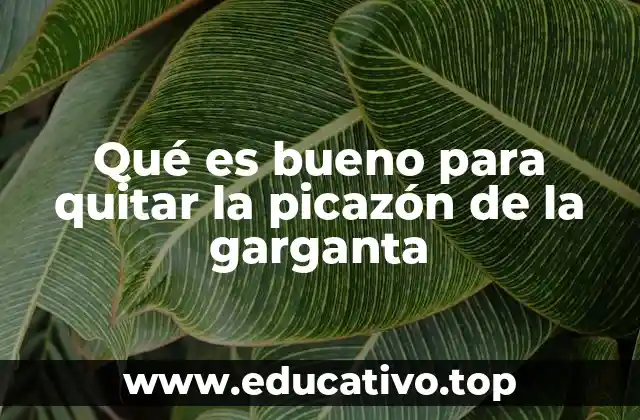 Qué es bueno para quitar la picazón de la garganta