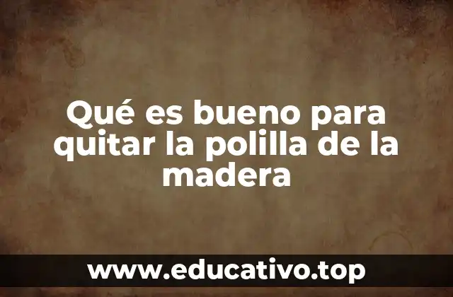 Soluciones caseras para combatir la polilla en la madera