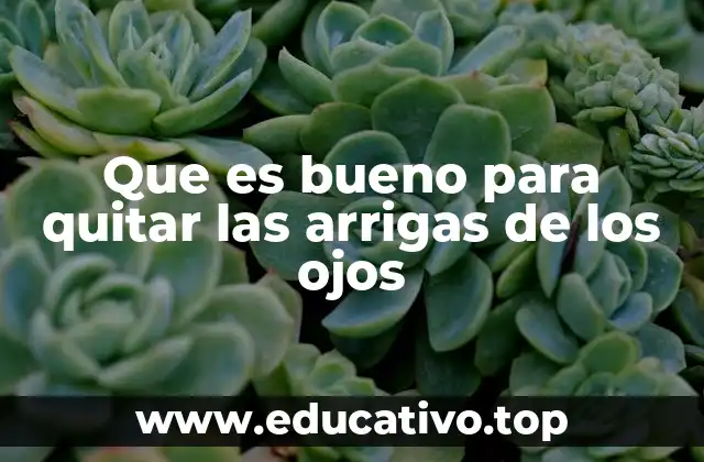 Que es bueno para quitar las arrigas de los ojos