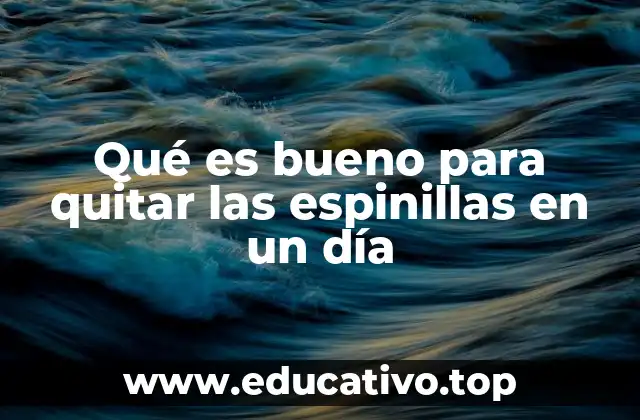 Qué es bueno para quitar las espinillas en un día