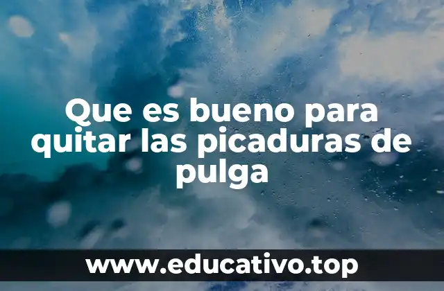 Que es bueno para quitar las picaduras de pulga