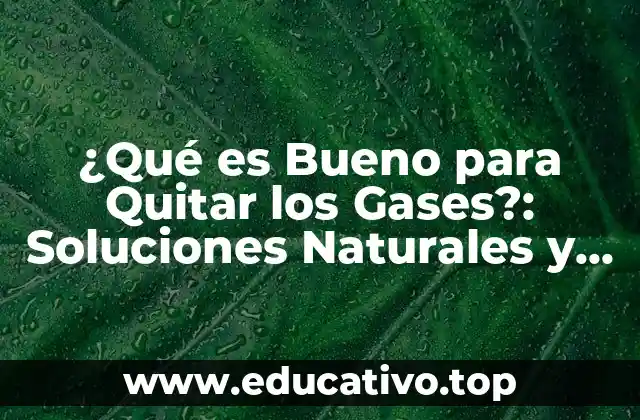 Causas de la Flatulencia: ¿Por qué Nos Sentimos con Gases?