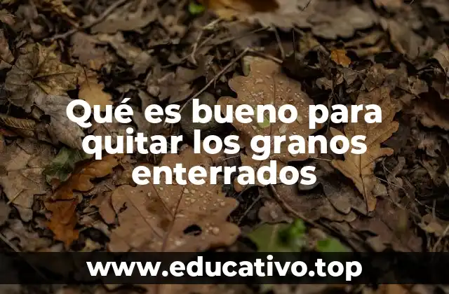 Qué es bueno para quitar los granos enterrados