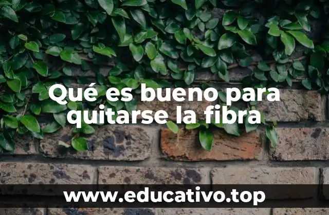 Qué es bueno para quitarse la fibra