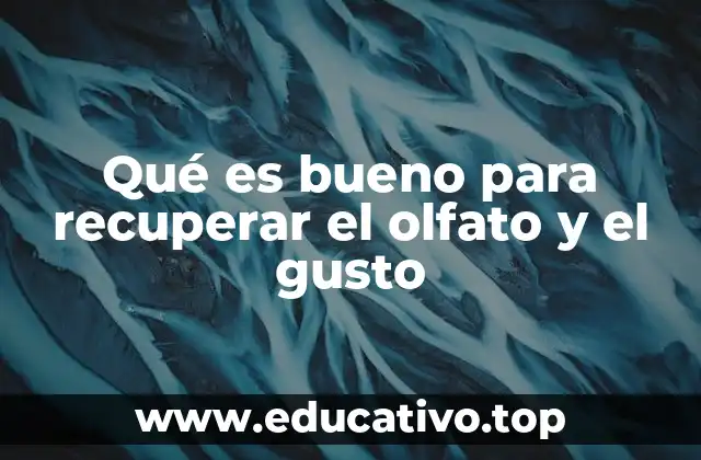 Qué es bueno para recuperar el olfato y el gusto