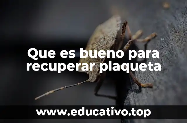 Que es bueno para recuperar plaqueta