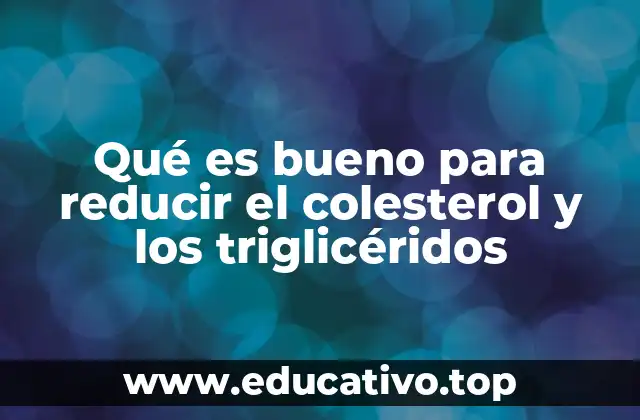 Qué es bueno para reducir el colesterol y los triglicéridos