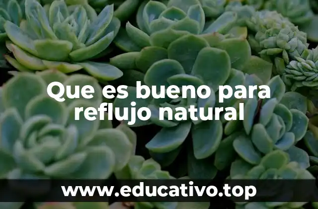 Que es bueno para reflujo natural