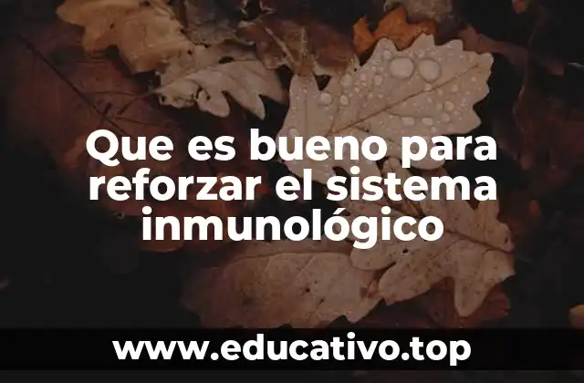 Que es bueno para reforzar el sistema inmunológico