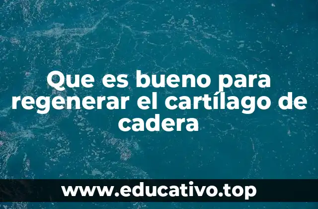 Que es bueno para regenerar el cartílago de cadera