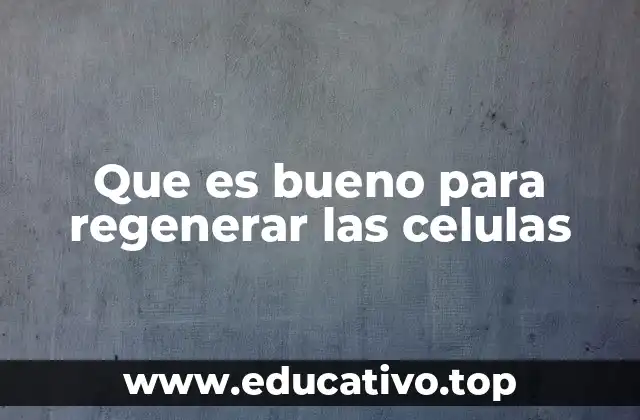 Que es bueno para regenerar las celulas