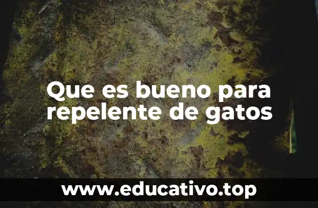 Que es bueno para repelente de gatos