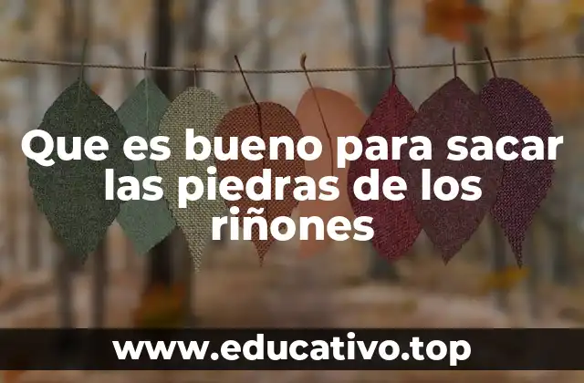 Que es bueno para sacar las piedras de los riñones