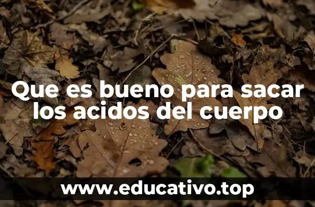 Que es bueno para sacar los acidos del cuerpo