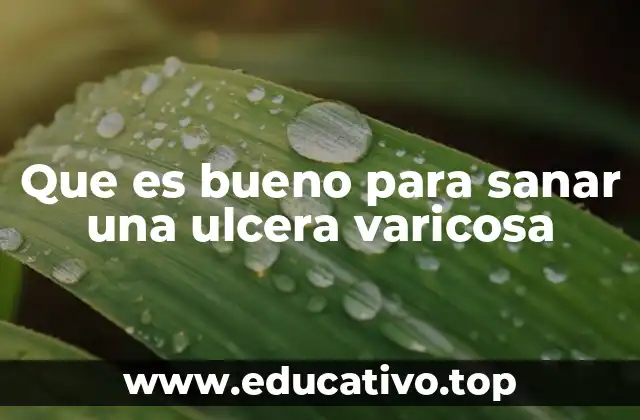 Que es bueno para sanar una ulcera varicosa
