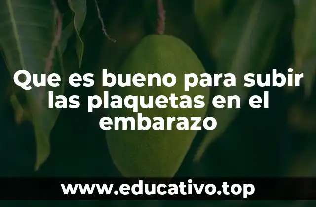 Que es bueno para subir las plaquetas en el embarazo