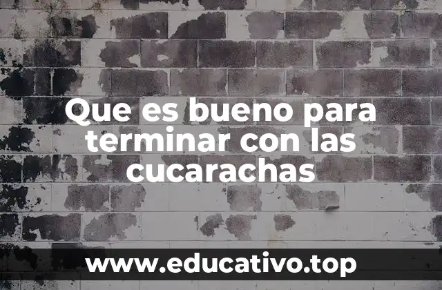 Que es bueno para terminar con las cucarachas