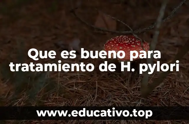 Que es bueno para tratamiento de H. pylori
