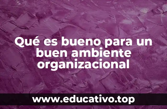 Qué es bueno para un buen ambiente organizacional