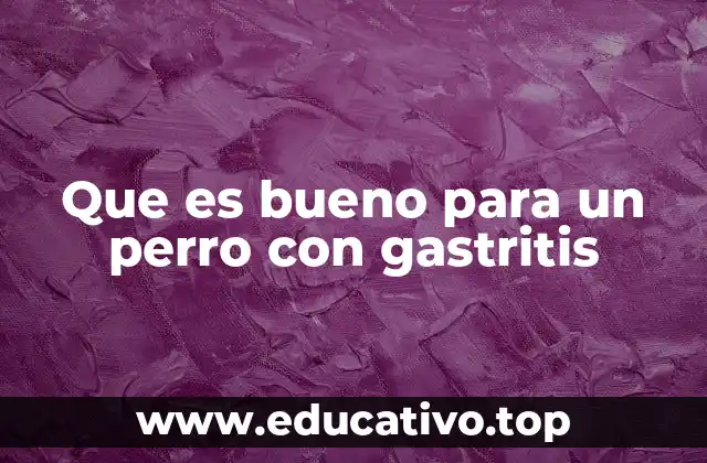 Que es bueno para un perro con gastritis