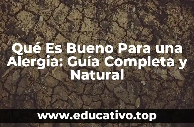 Qué Es Bueno Para una Alergia: Guía Completa y Natural