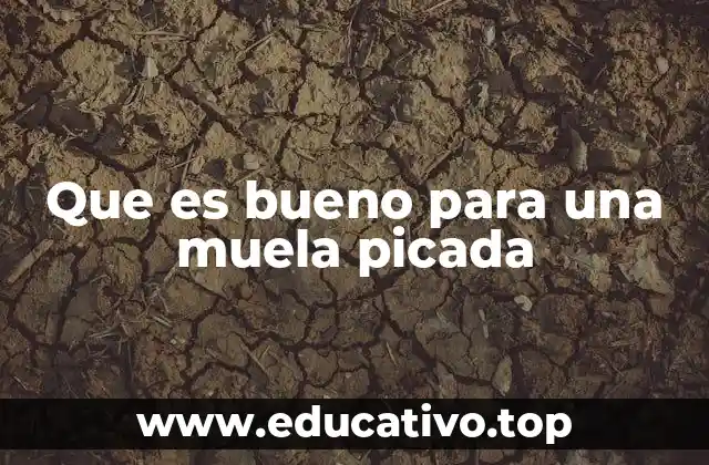 Que es bueno para una muela picada