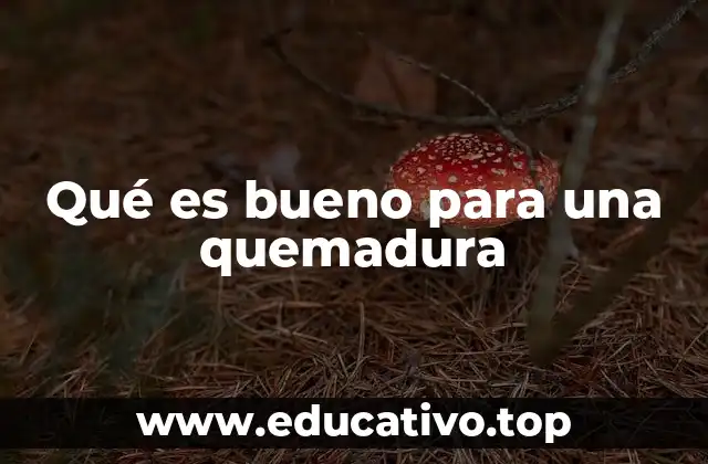 Qué es bueno para una quemadura