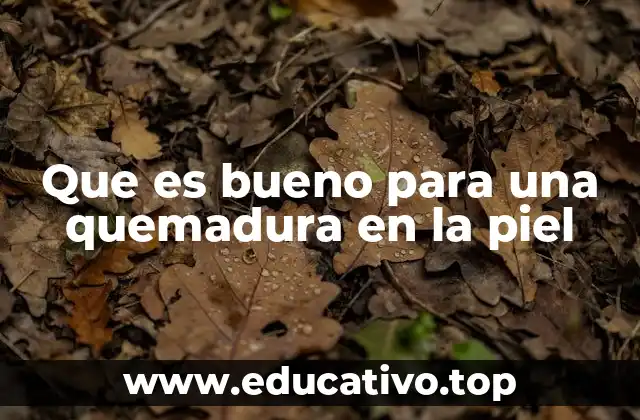 Que es bueno para una quemadura en la piel