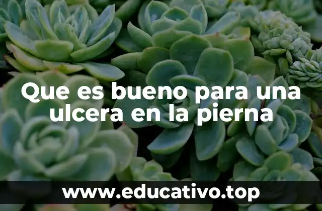 Que es bueno para una ulcera en la pierna