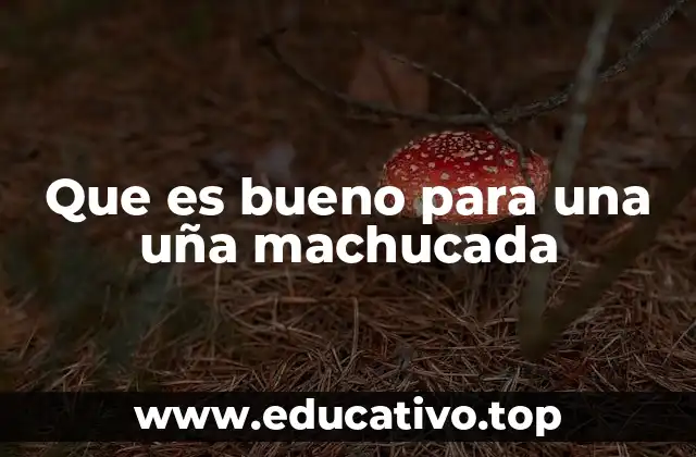 Que es bueno para una uña machucada