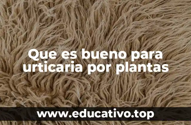 Que es bueno para urticaria por plantas