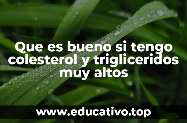 Que es bueno si tengo colesterol y trigliceridos muy altos