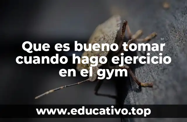 Que es bueno tomar cuando hago ejercicio en el gym