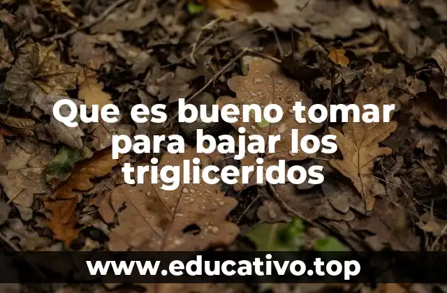 Que es bueno tomar para bajar los trigliceridos