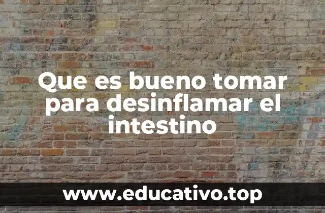 Que es bueno tomar para desinflamar el intestino