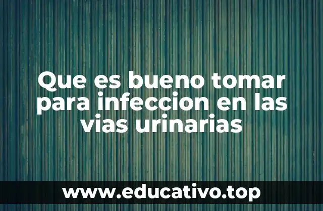 Que es bueno tomar para infeccion en las vias urinarias